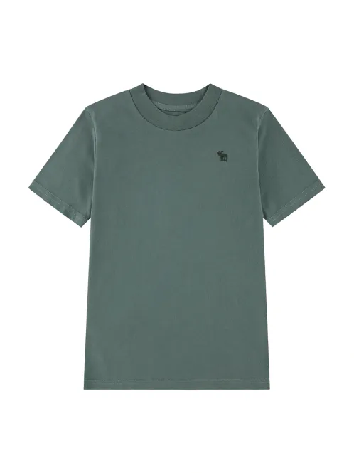 Hovedbilde ABERCROMBIE ESSENTIAL T-SKJORTE